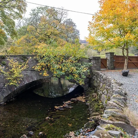 Goody Raise * Grasmere